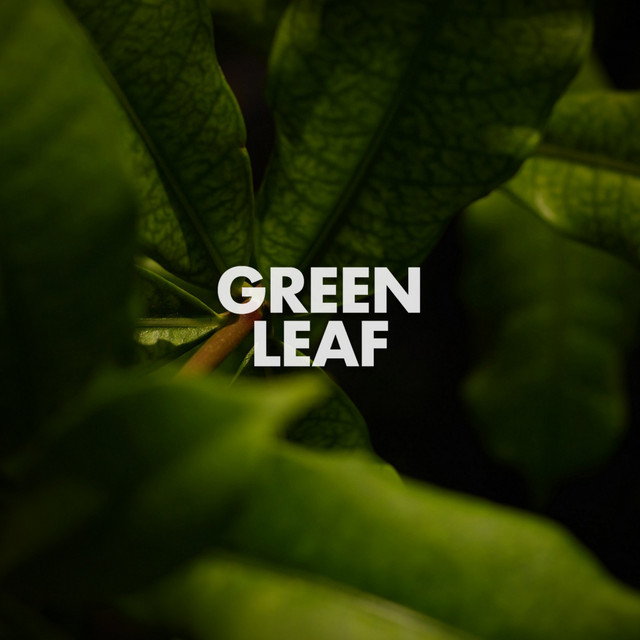 Green Leaf cover art
