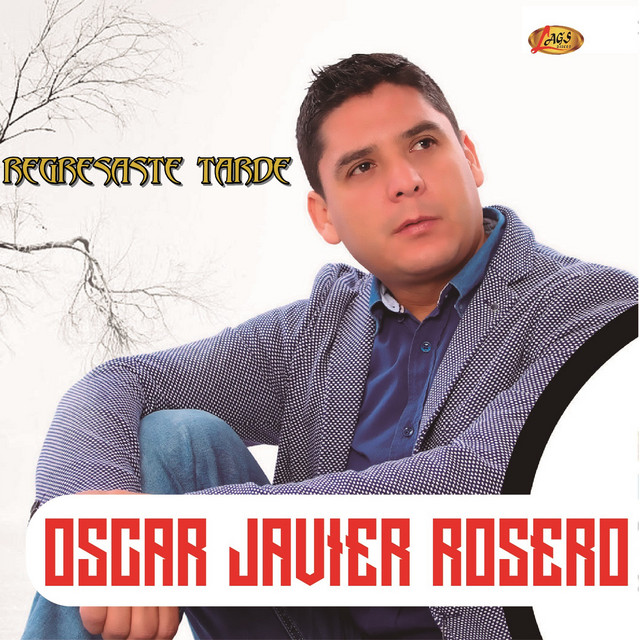 Regresaste Tarde cover art