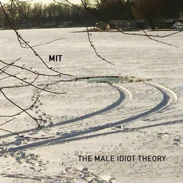 The Male Idiot Theory cover art