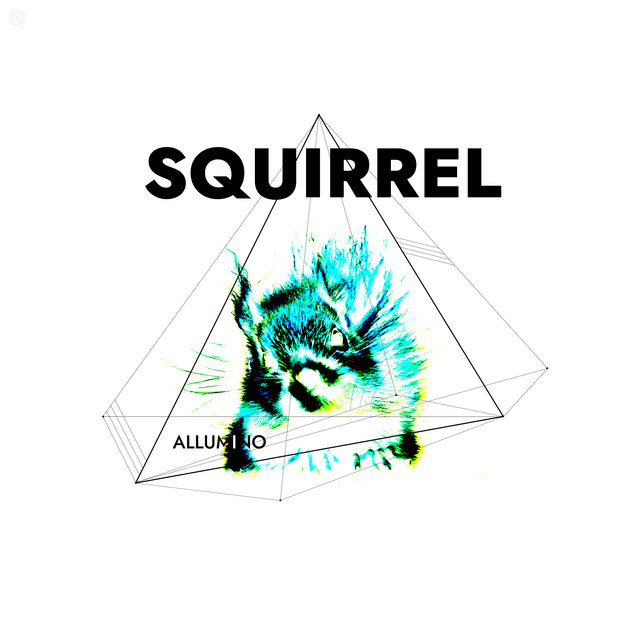 Обкладинка: Squirrel — Allumino