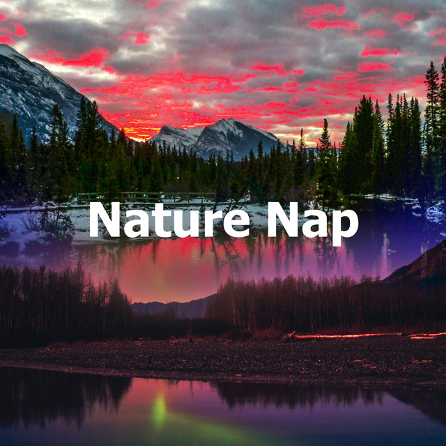 Nature Nap - Album by Deep Sleep Nature Sounds | Spotify