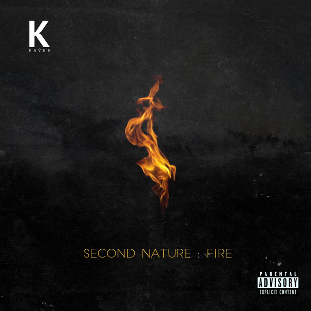Second Nature : Fire cover art