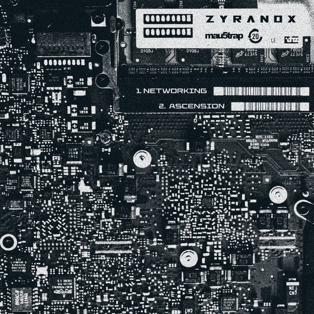 ASCENSION / NETWORKING cover art