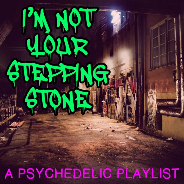 I'm Not Your Stepping Stone - song and lyrics by The Flies | Spotify
