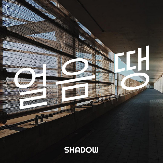 Shadow