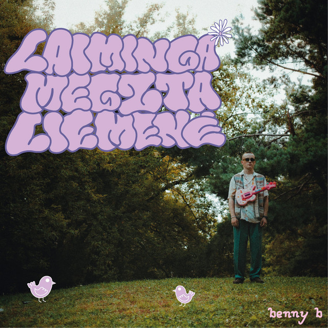 laiminga megzta liemenė cover art