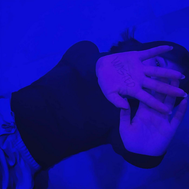 Wasted cover art