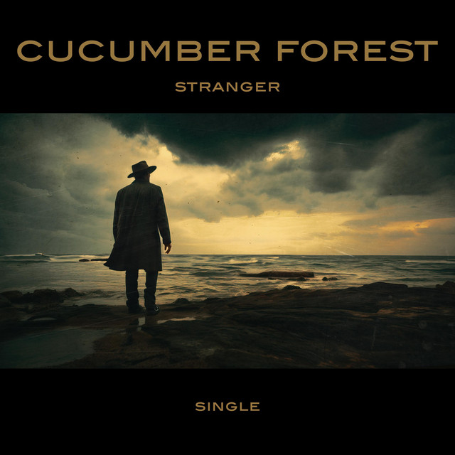 Stranger cover art