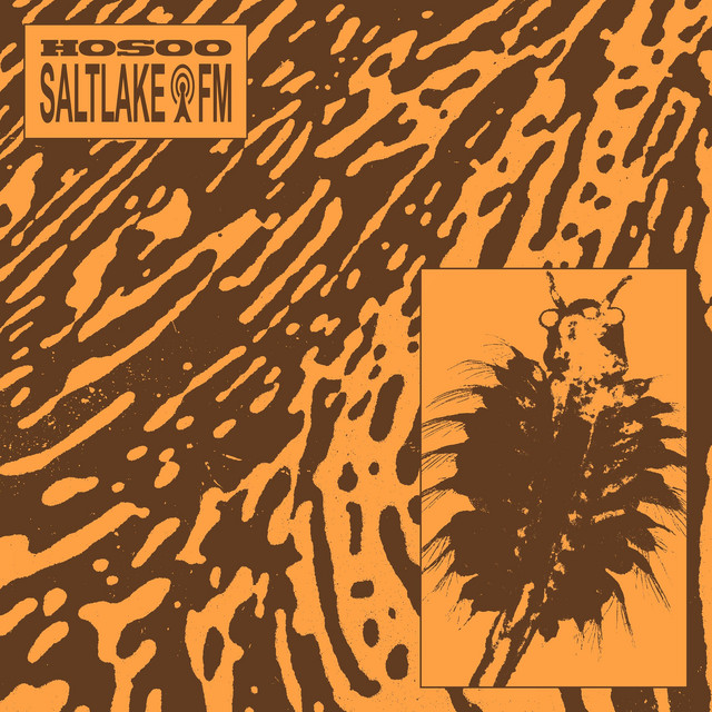 SALTLAKE FM cover art