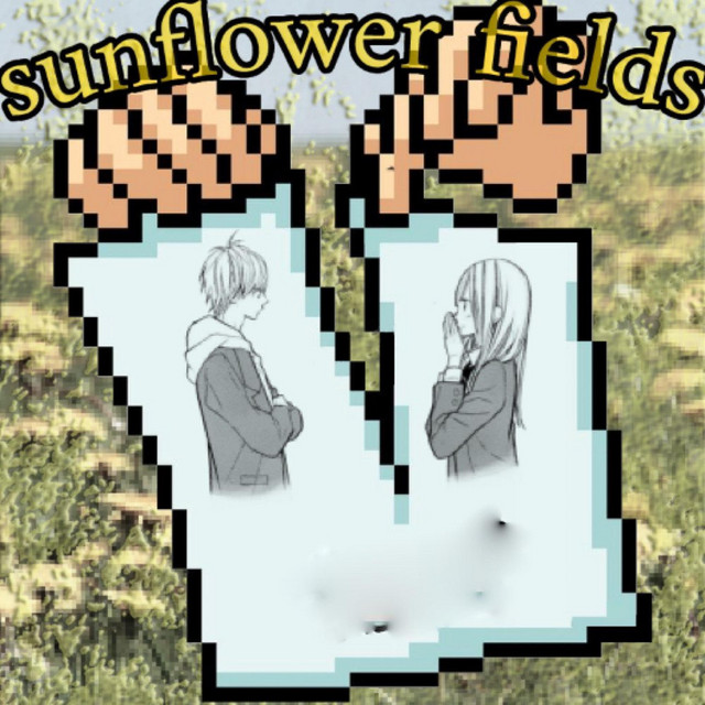 Sunflower Fields