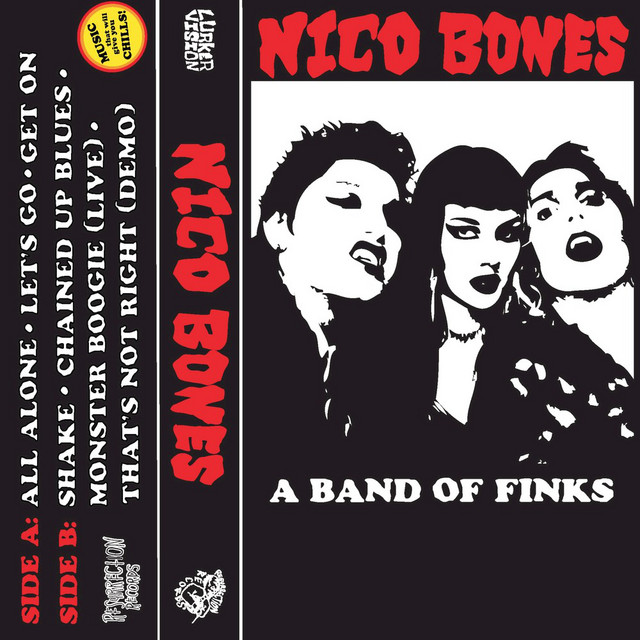 A Band of Finks cover art