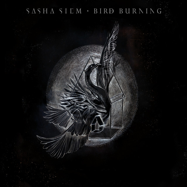 Bird Burning cover art