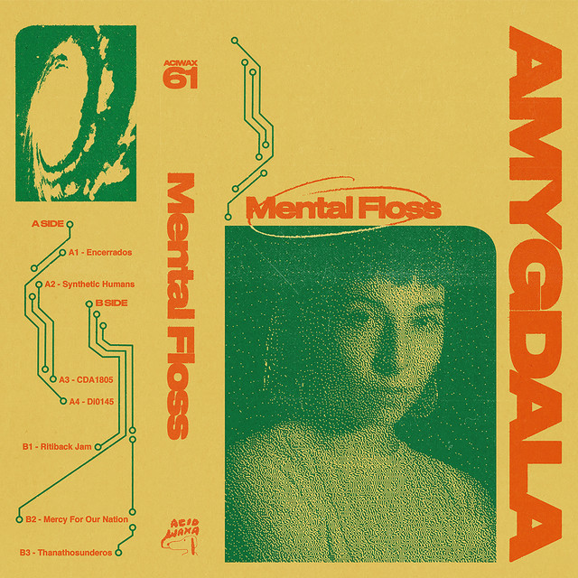Amygdala