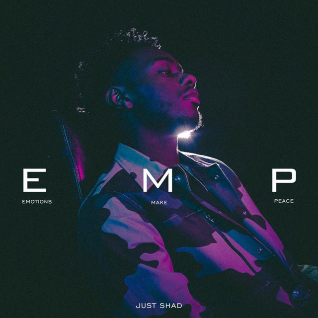 EMP cover