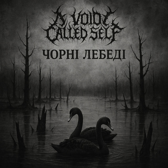 Cover art for A Void Called Self — Чорні Лебеді