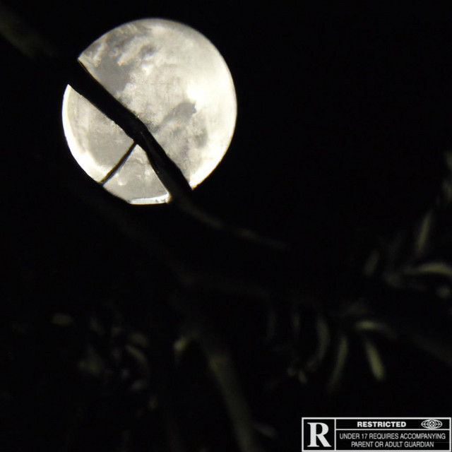Lua cover art