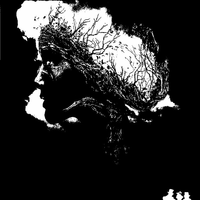 Strangers album art