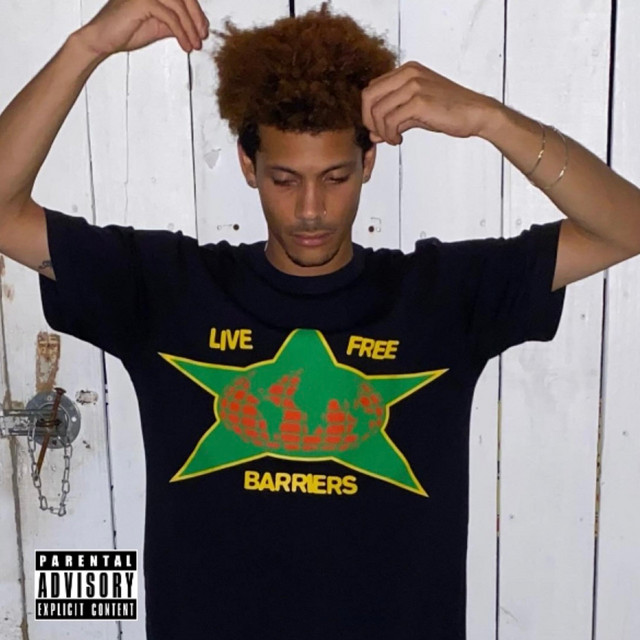 Recuse cover art