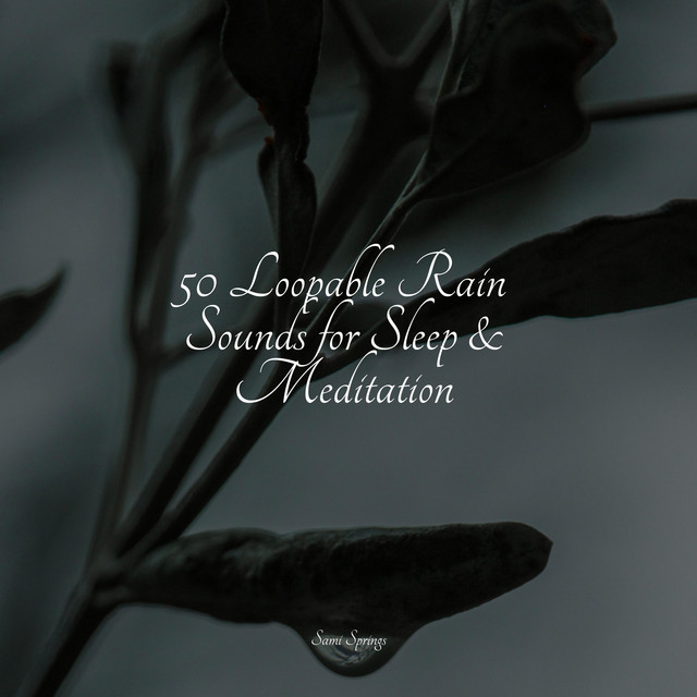 50 Loopable Rain Sounds for Sleep & Meditation - Album by The Relaxing ...