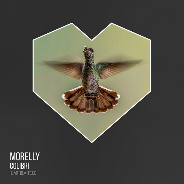 Colibri - Single by MORELLY | Spotify