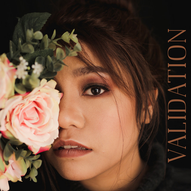 Validation cover art