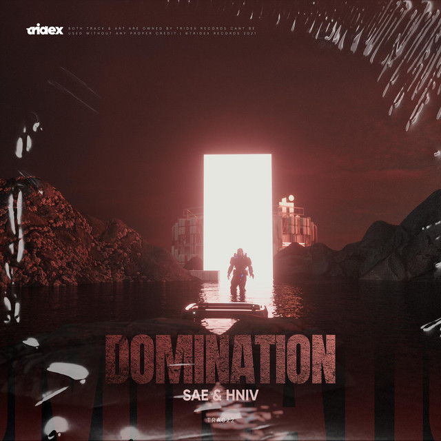 Domination cover art