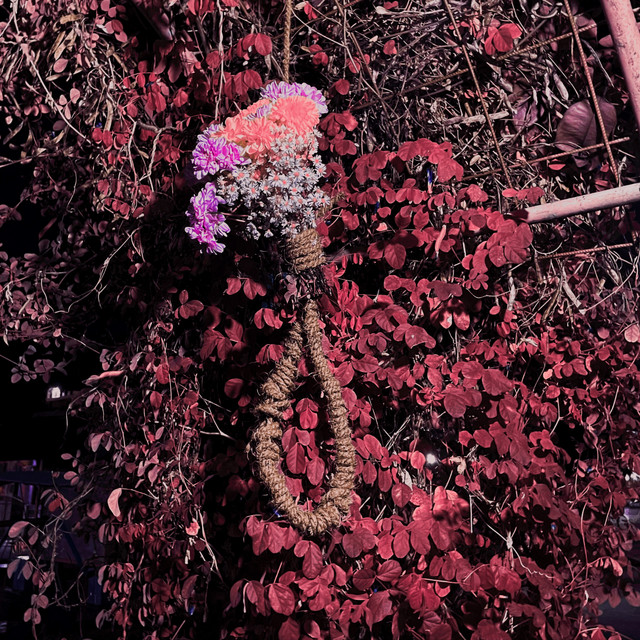 Nothing but Tragedy cover art