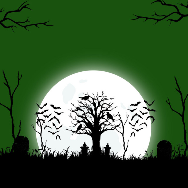 Tiny Haven cover art