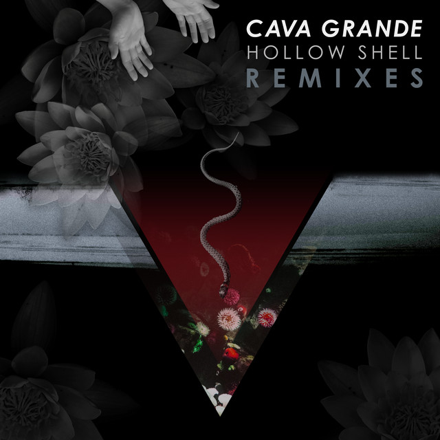 Hollow Shell Remixes cover art