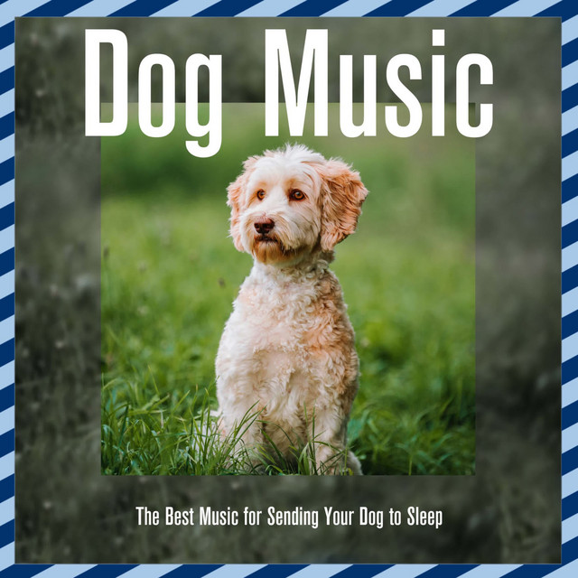 Dog Music: The Best Music for Sending Your Dog to Sleep cover art