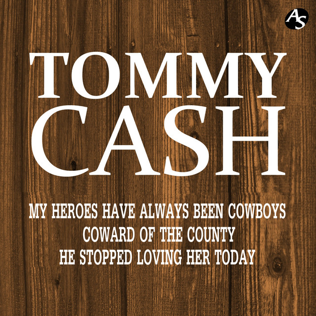My Heroes Have Always Been Cowboys cover art
