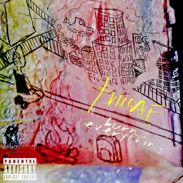 T.M.A.F. BURNS EVERYTHING cover art