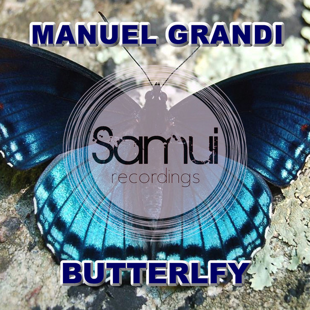 Butterfly album art