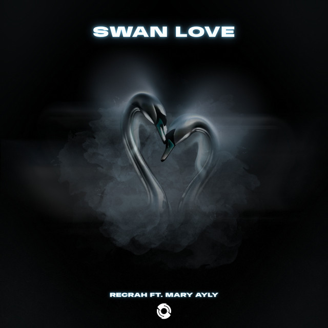 Swan Love
