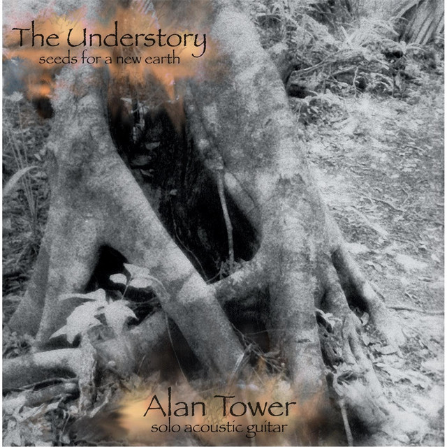The Understory cover art