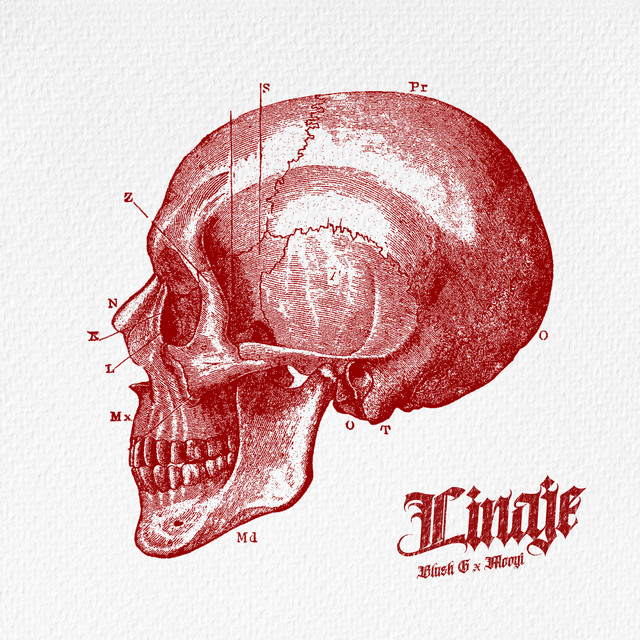 Linaje