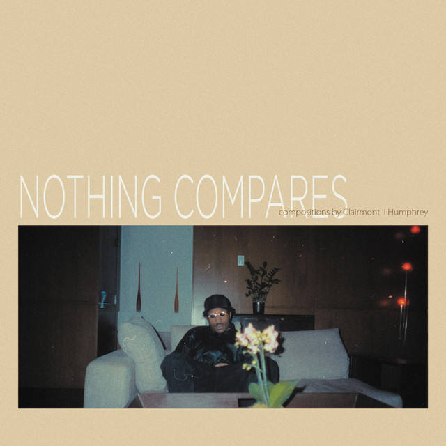 Nothing Compares cover art