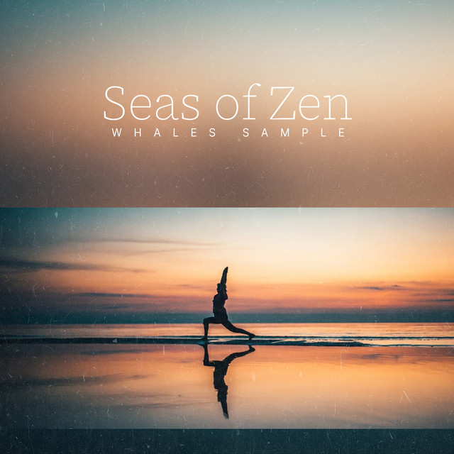 Seas of Zen cover art