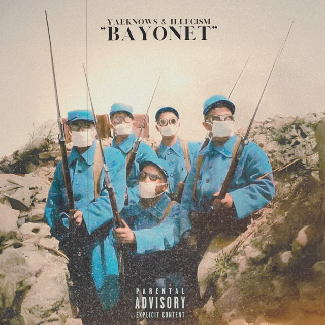 Bayonet cover