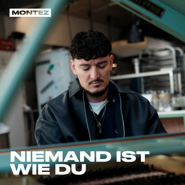Niemand ist wie du cover art