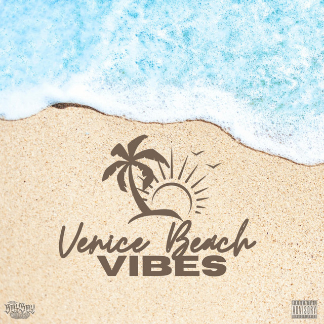 Venice Beach Vibes cover