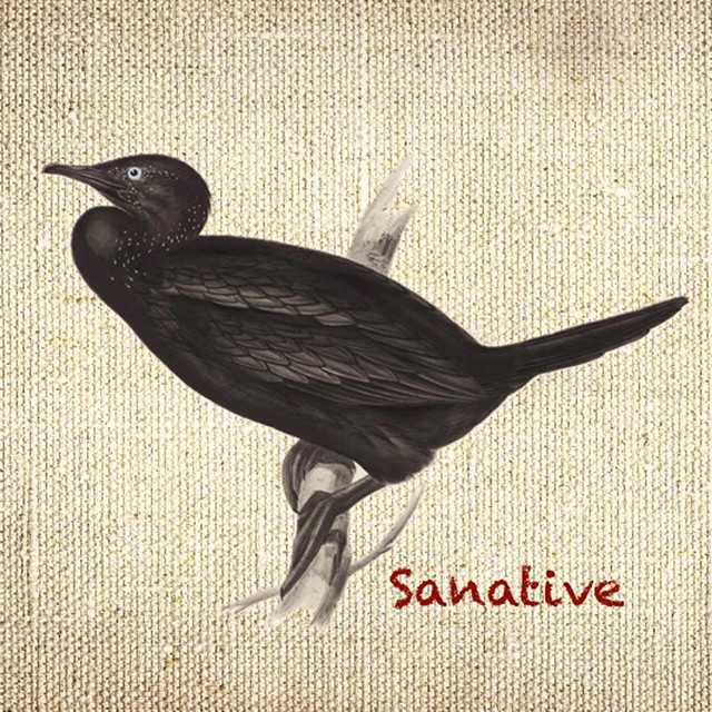 Sanative cover art