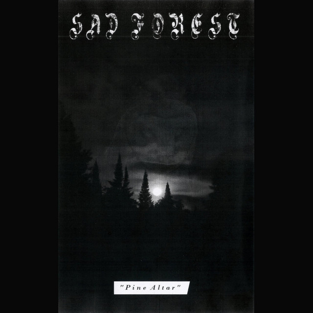 Sad Forest