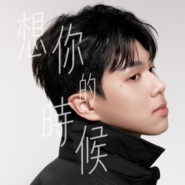 想你的時候 album image