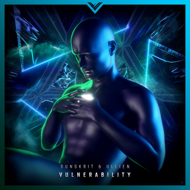 Vulnerability cover art