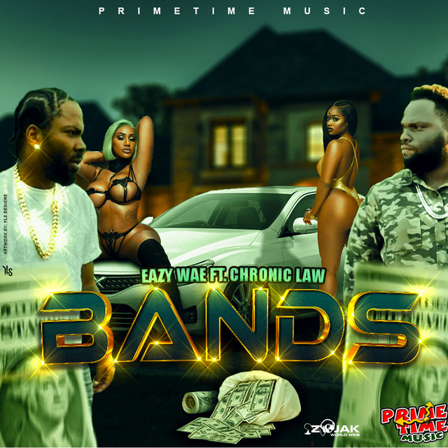 Bands cover art