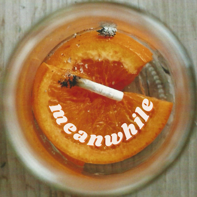 Meanwhile cover art