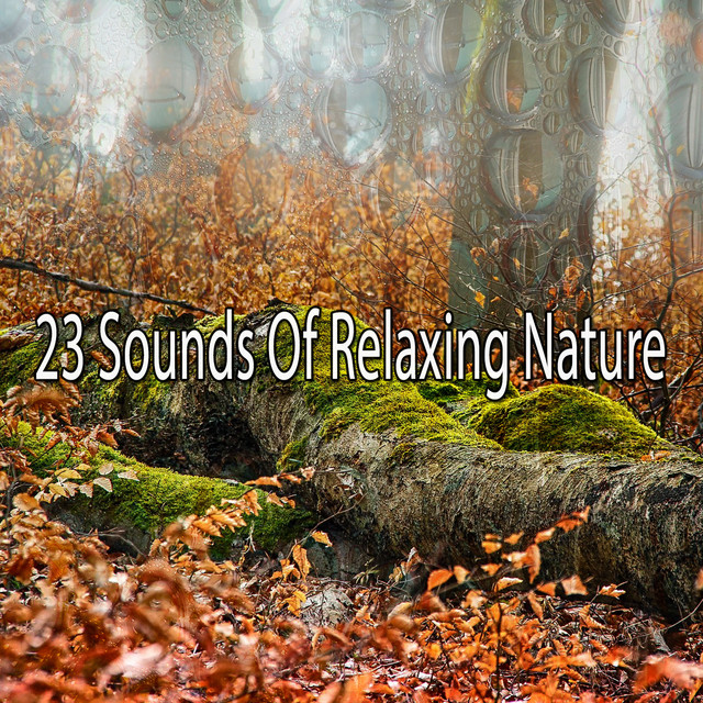 23 Sounds Of Relaxing Nature - Album by Pro Sounds of Nature | Spotify