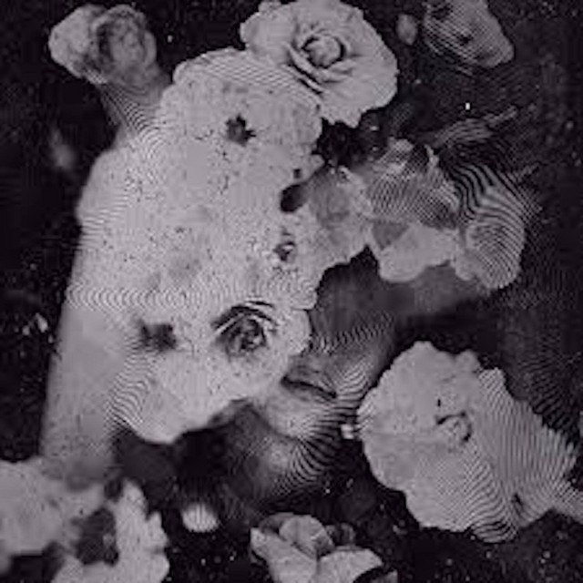 Void cover art