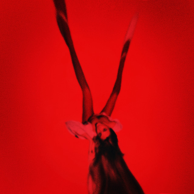 Undressed cover art